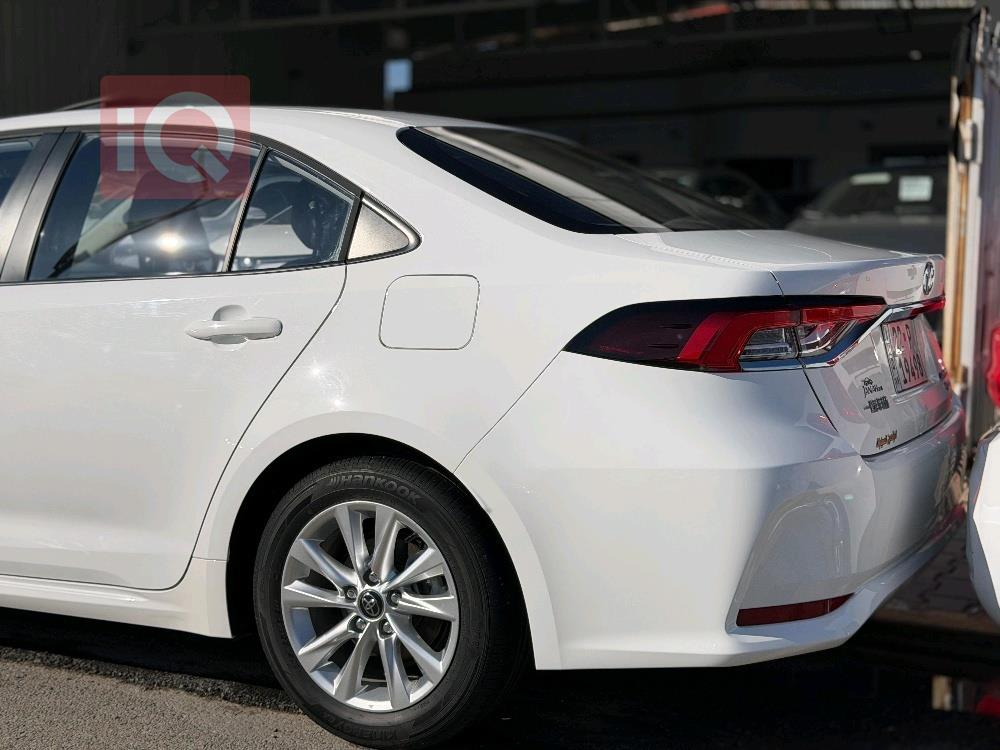 تويوتا كورولا